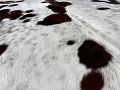 Tricolor Cowhide Rug
