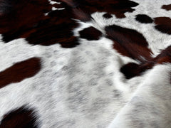 Tricolor Cowhide Rug