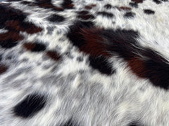 Tricolor Cowhide Rug