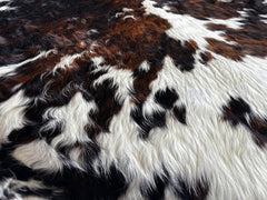 Exotic Tricolor Cowhide Rug