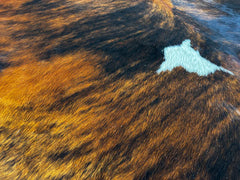 Tricolor Cowhide Rug