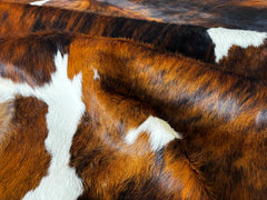 Tricolor Cowhide Rug
