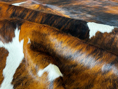 Tricolor Cowhide Rug