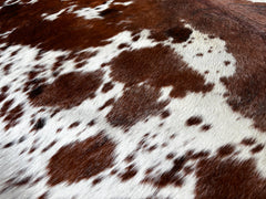 Exotic Tricolor Cowhide Rug