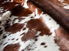 Exotic Tricolor Cowhide Rug