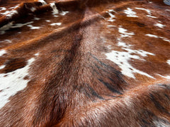 Exotic Tricolor Cowhide Rug