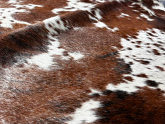 Exotic Tricolor Cowhide Rug