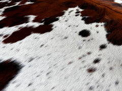 Exotic Tricolor Cowhide Rug