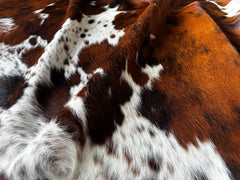 Exotic Tricolor Cowhide Rug
