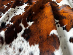 Exotic Tricolor Cowhide Rug