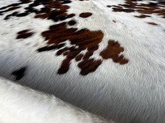 Exotic Tricolor Cowhide Rug