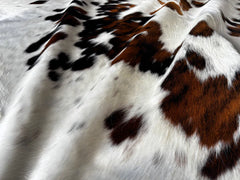 Exotic Tricolor Cowhide Rug