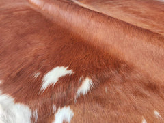 Brown and White Cowhide Rug
