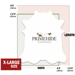 Exotic Tricolor Cowhide Rug