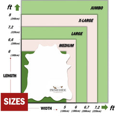 Tricolor Cowhide Rug